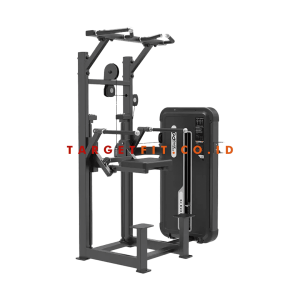 Dip / Chin Assist Machine DHZ E3009A