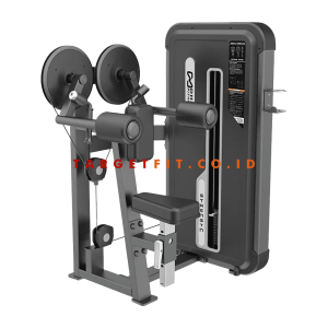 DHZ Lateral Raise Machine Apple Series E3005A