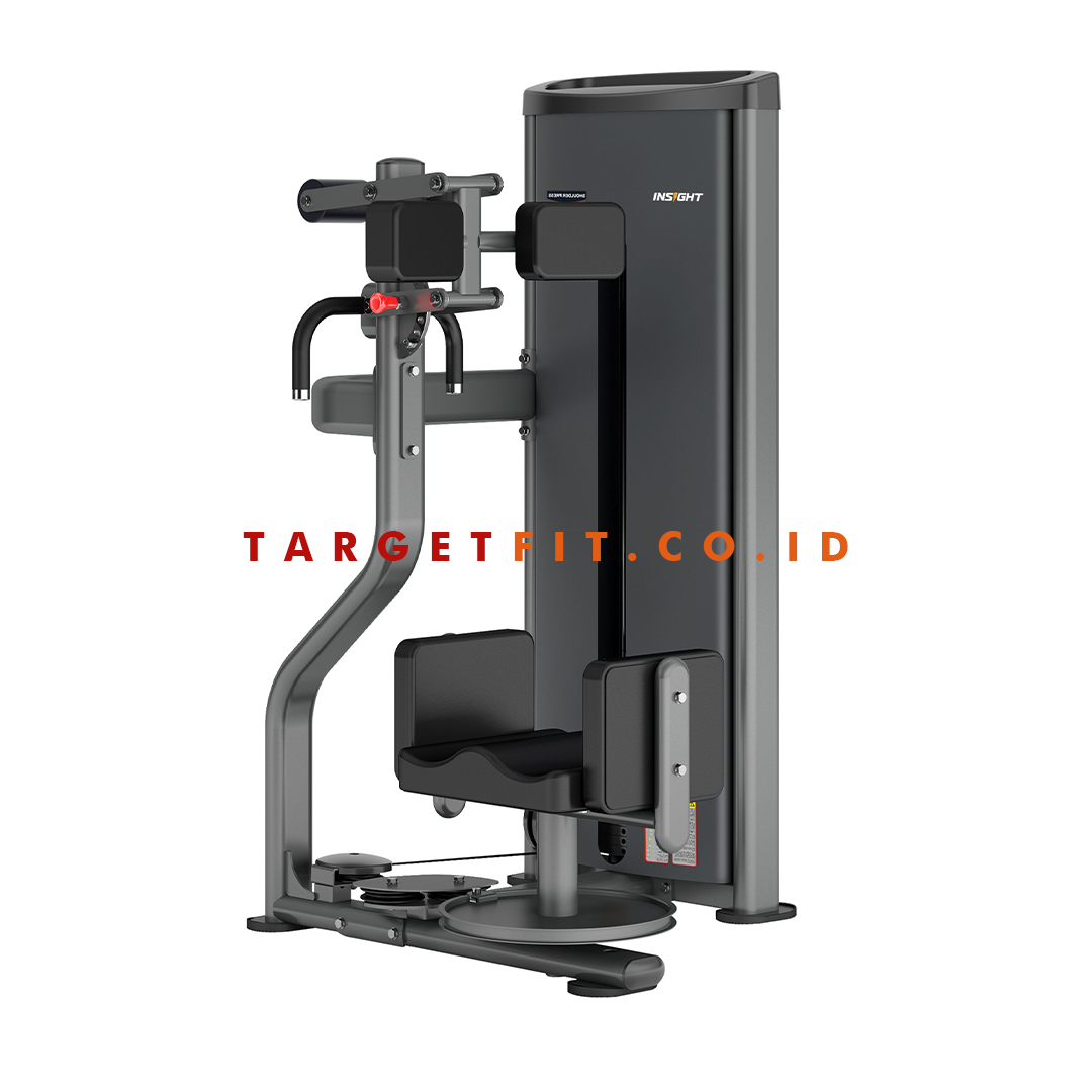 Insight Rotary Torso DA010