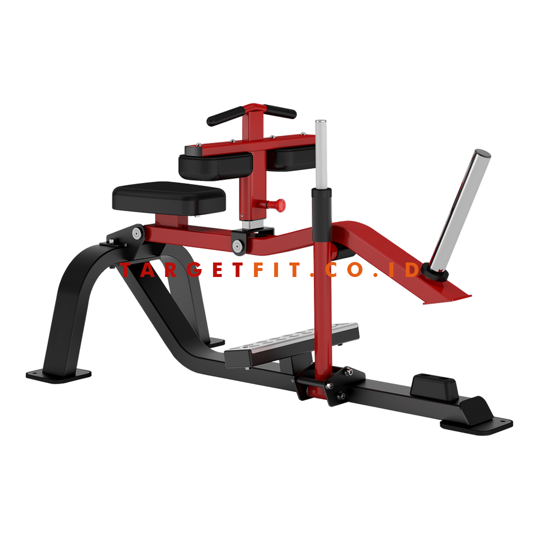 Insight Seated Calf Raise DH015