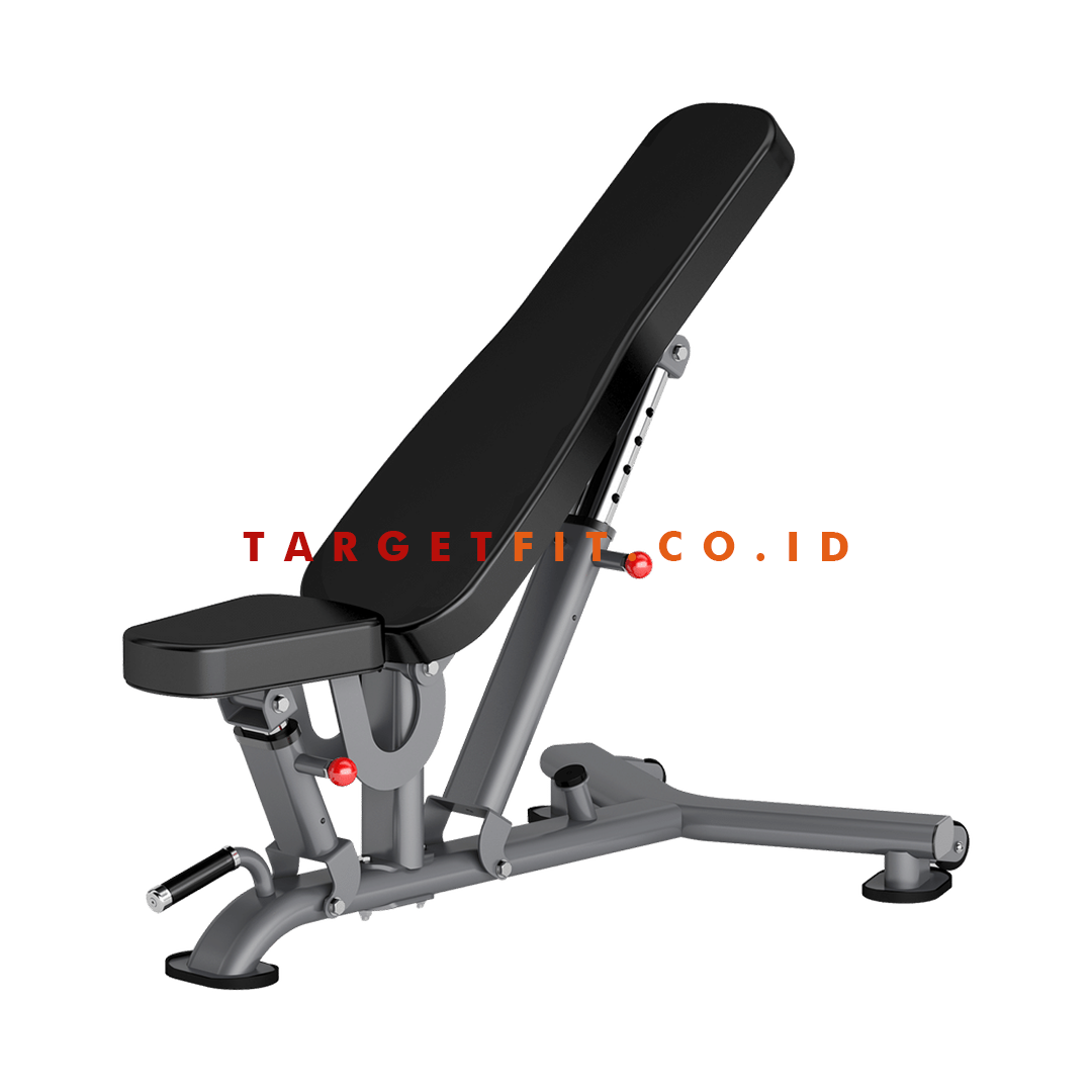 Insight Multi Adjustable Bench DR016